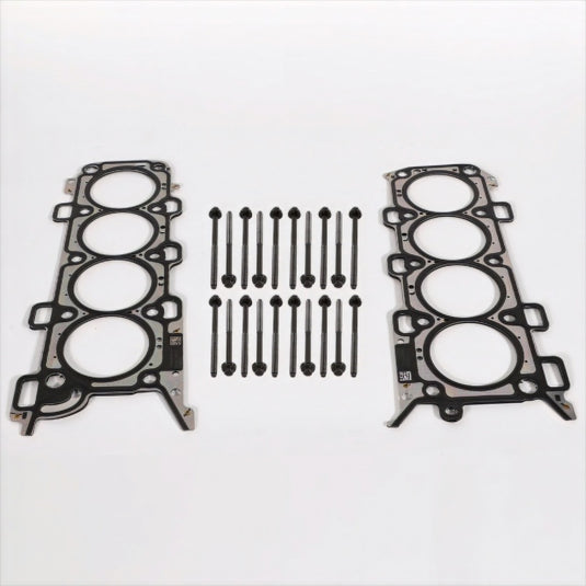 Ford Racing M-6067-M5018 FR Head Gasket Sets