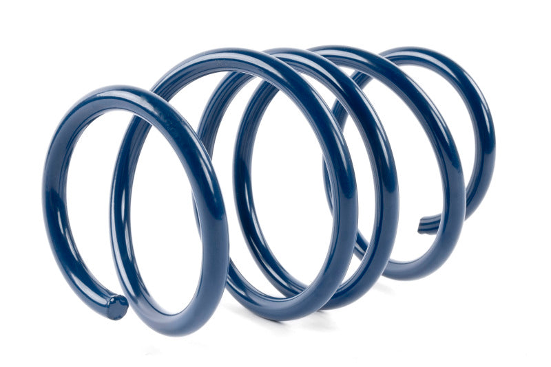 Load image into Gallery viewer, Dinan D100-0939 DNN Coil Springs
