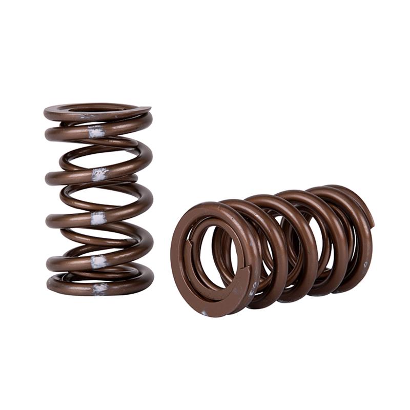 Load image into Gallery viewer, Skunk2 Racing 311-05-7380 SK Pro Valve Springs

