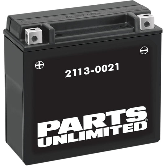 Parts Unlimited 2113-0021 AGM Maintenance-Free Battery