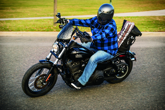 Kuryakyn 1737 KUR Mirrors C