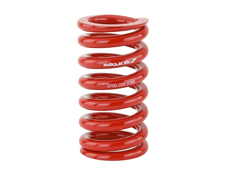 Load image into Gallery viewer, Skunk2 Racing 521-99-1040 SK Race Springs
