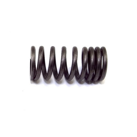 Omix 17409.01 OMI Valve Springs
