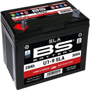 Bs Battery 300901 SLA Factory-Activated AGM Maintenance-Free Battery