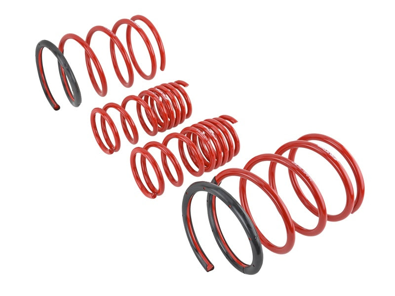 Load image into Gallery viewer, Skunk2 Racing 519-05-1570 SK Lowering Springs
