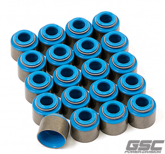 Gsc Power Division 1060 GSC Valve Stem Seal Sets