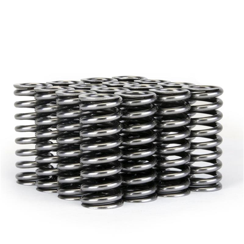Load image into Gallery viewer, Skunk2 Racing 311-05-1345 SK Tuner Valve Springs
