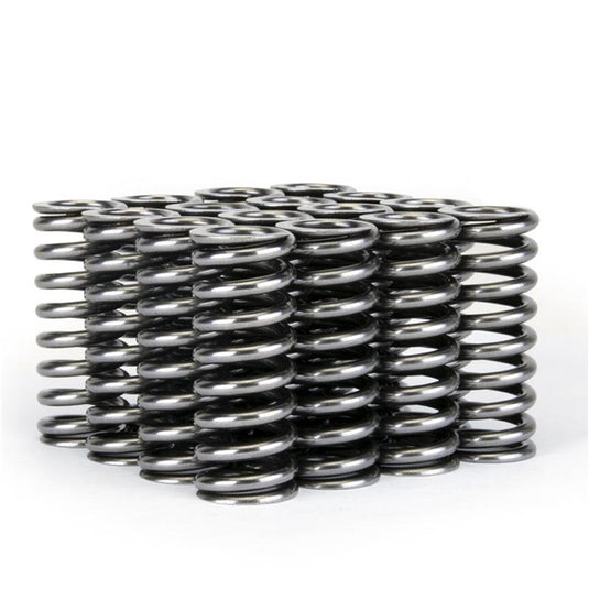 Skunk2 Racing 311-05-1345 SK Tuner Valve Springs