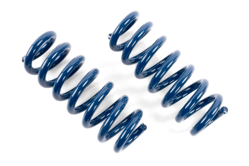 Load image into Gallery viewer, Dinan D100-0939 DNN Coil Springs
