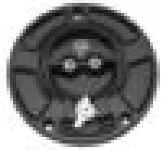Vortex Racing GC430K VTX Fuel Cap