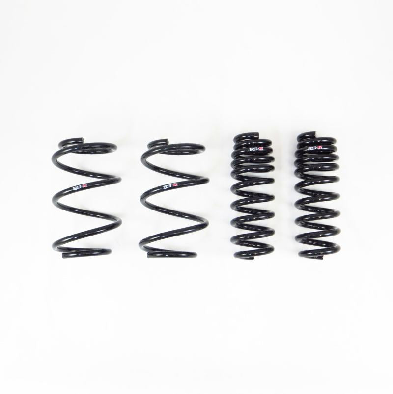 Load image into Gallery viewer, Rs-R T215D RSR Down Sus Springs
