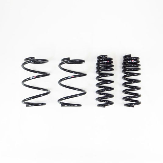 Rs-R T215D RSR Down Sus Springs