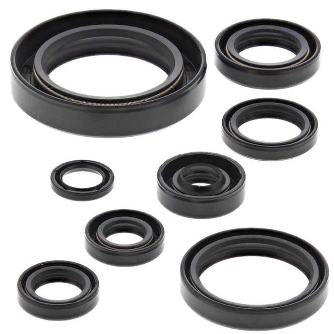 Vertex 822111 Oil Seal Kit