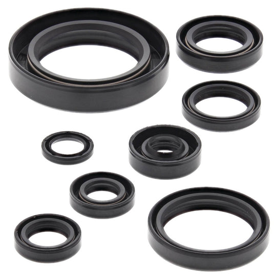 Vertex 822111 Oil Seal Kit