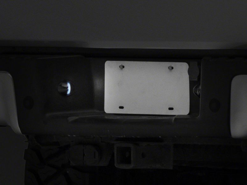 Load image into Gallery viewer, Raxiom T543147 RAX License Plate Bulbs
