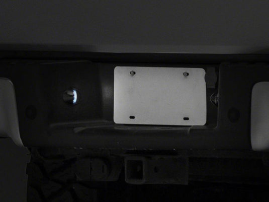 Raxiom T543147 RAX License Plate Bulbs