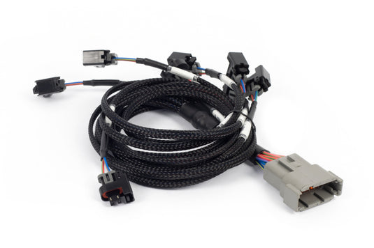Haltech HT-186503 HAL NEXUS Rebel LS Wire-In Harnesses