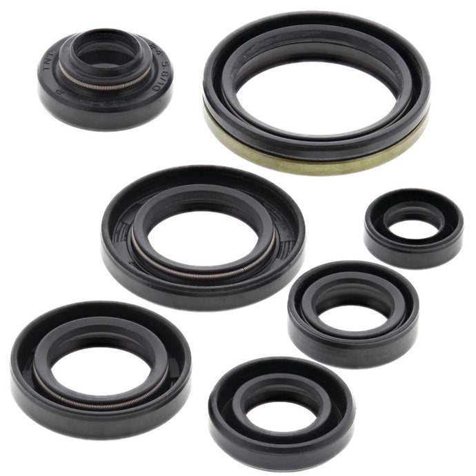Vertex 822305 Oil Seal Kit