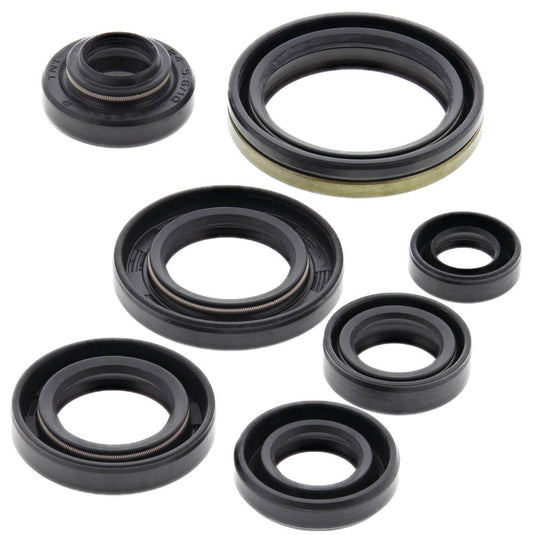 Vertex 822305 Oil Seal Kit