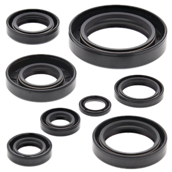 Vertex 822108 Oil Seal Kit