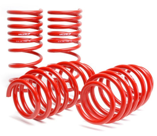 Skunk2 Racing 519-05-1580 SK Lowering Springs