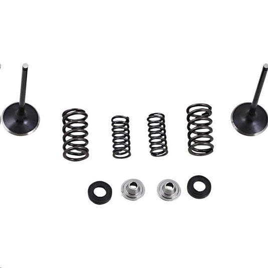 Moose Racing M30-33680 Intake Stainless Valve and Spring Kit