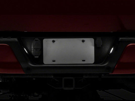 Raxiom T549999 RAX License Plate Bulbs