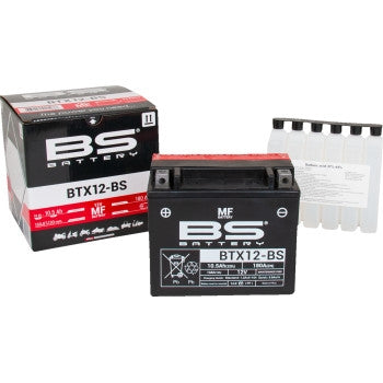 Bs Battery 300603 MF AGM Maintenance-Free Battery