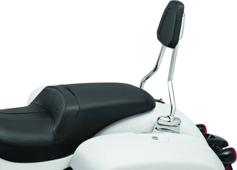 Load image into Gallery viewer, Kuryakyn 6586 KUR Sissy Bars
