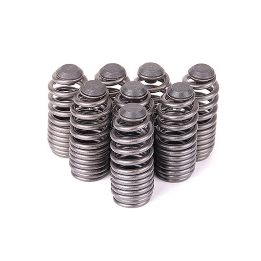 Skunk2 Racing 312-05-0200 SK Tuner Valve Springs