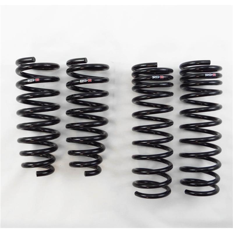 Load image into Gallery viewer, Rs-R H650W RSR Down Sus Springs
