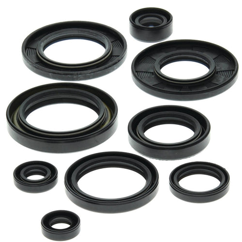 Vertex 822148 Oil Seal Kit