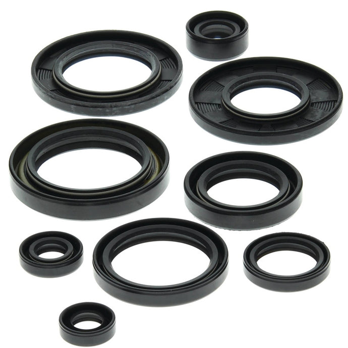 Vertex 822148 Oil Seal Kit