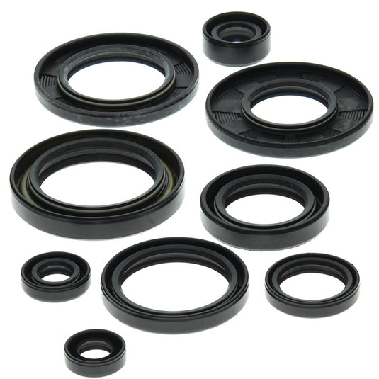 Vertex 822148 Oil Seal Kit