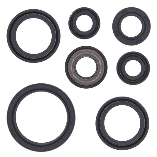 Vertex 822232 Oil Seal Kit
