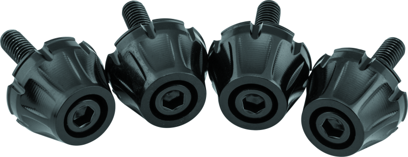 Load image into Gallery viewer, Kuryakyn 5722 KUR Windshield Screws
