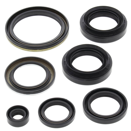 Vertex 822239 Oil Seal Kit