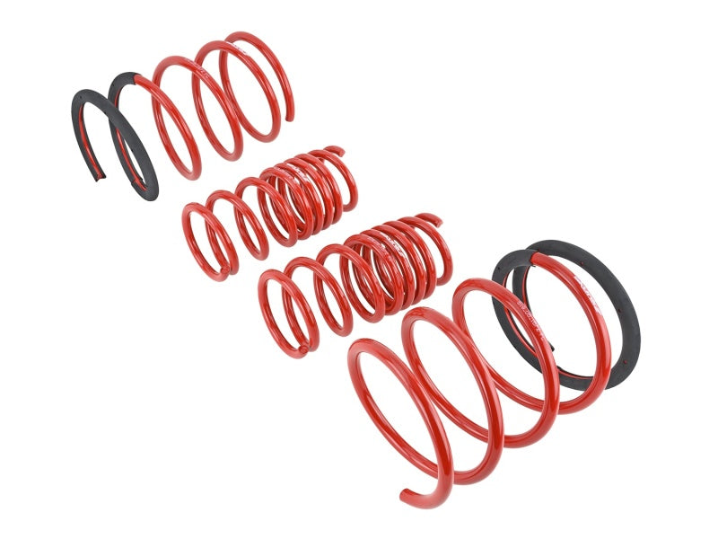 Load image into Gallery viewer, Skunk2 Racing 519-05-1672 SK Lowering Springs
