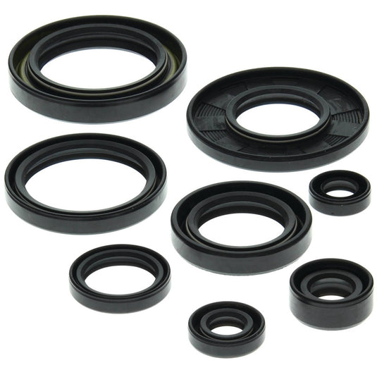Vertex 822158 Oil Seal Kit