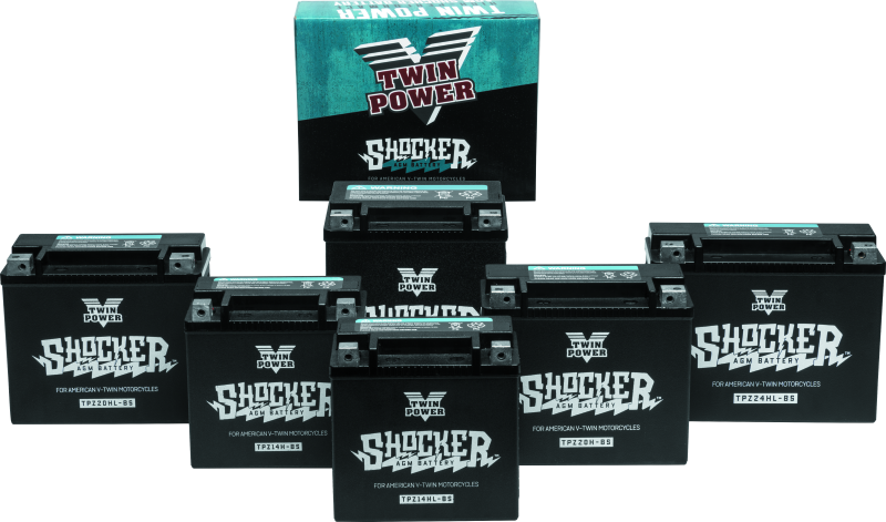 Load image into Gallery viewer, Twinpower 781151 TWP Shocker Batteries
