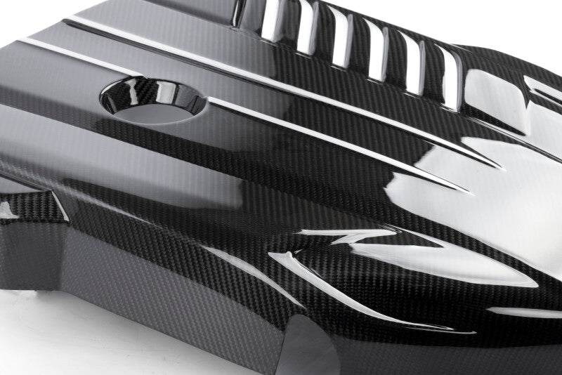 Load image into Gallery viewer, Dinan D590-0002 DNN Engine Covers
