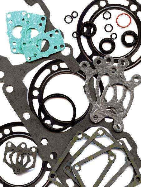 Winderosa 811366 Gasket Set with Oil Seals