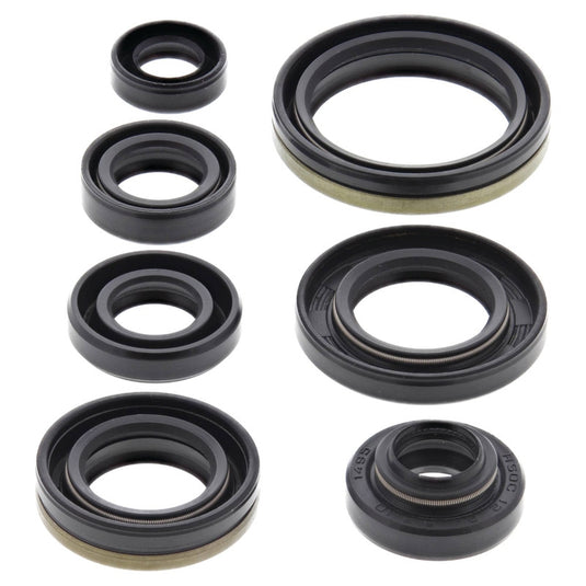Vertex 822176 Oil Seal Kit