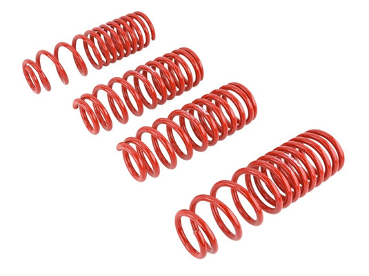 Skunk2 Racing 519-05-1660 SK Lowering Springs