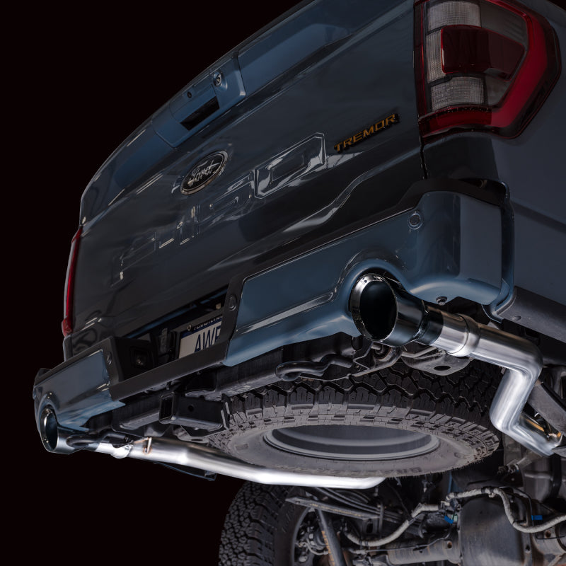Load image into Gallery viewer, Awe Tuning 3020-33402 AWE Cat-Back FG Edition
