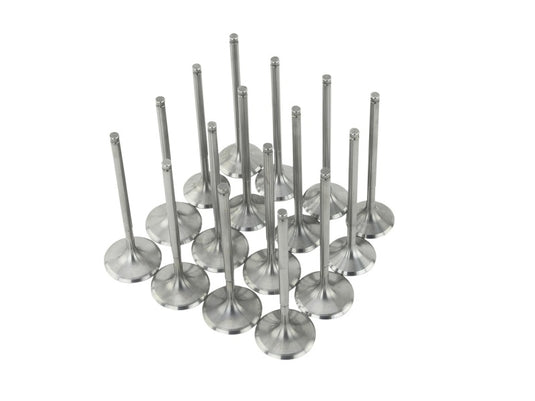 Skunk2 Racing 310-05-1555 SK Alpha Valves