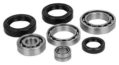 All Balls 25-2022 Differential Bearing and Seal Kit