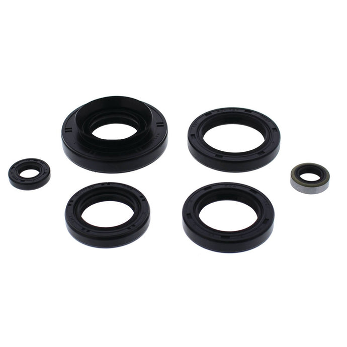 Vertex 822366 Oil Seal Kit