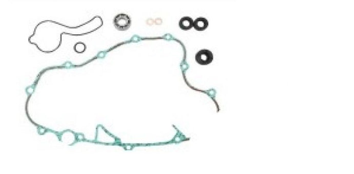 Psychic Mx MX-10267 Water Pump Repair Kit