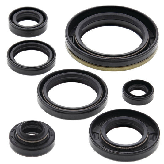 Vertex 822126 Oil Seal Kit